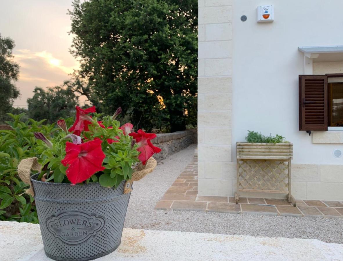 La Mignola Holiday home Fasano